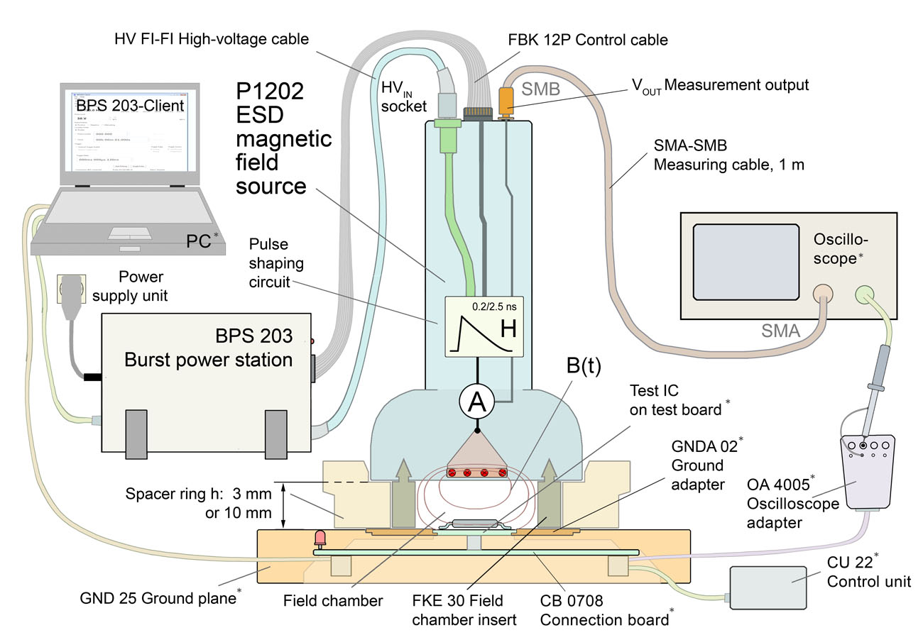 Measurement assembly with P1202 L-ESD 
(The devices marked * are not includedin the scope of delivery.)